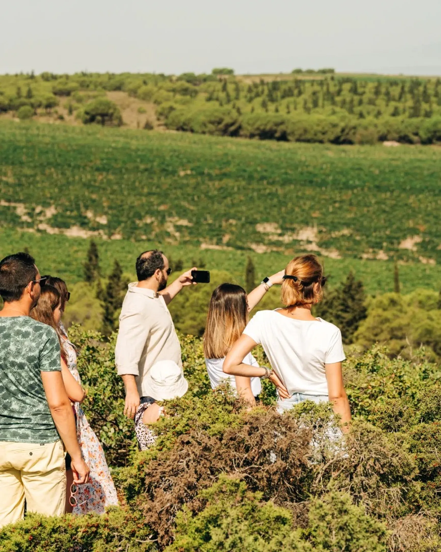 Villa Sauvageonne - Villa de luxe aux Terrasses du Larzac